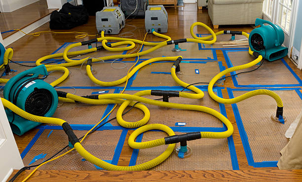Professional Burst Pipe Water Damage technician working in Medinah, IL